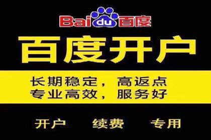 百度竞价推广公司案例揭秘：如何实现低成本高转化